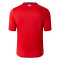 Lille Home Fan Jersey 2024/25