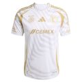 Tigres Third Fan Jersey 2024/25