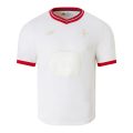 Lille LOSC Anniversary Fan Jersey 2024/25