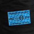 Gremio Third 2023/24 – Fan Version