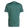 Algeria Away Fan Version 2024/25