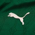 Palmeiras Home Authentic Player 2025/26