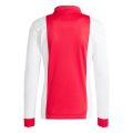 Ajax Anniversary Long Sleeve Fan Jersey 2024/25
