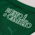 Palmeiras Home Fan Jersey 2025/26