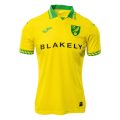 Norwich City Home Fan Jersey 2025/26