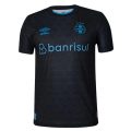 Gremio Third 2023/24 – Fan Version