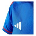 Lyon Adidas 2023/24 Jersey
